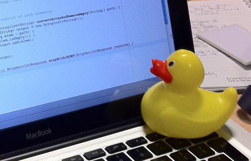 duck_assisting_with_debugging.jpg